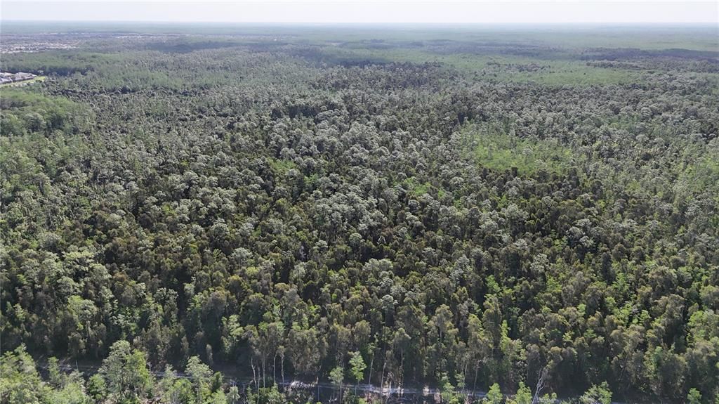 На продажу: $179,000 (5.00 acres)