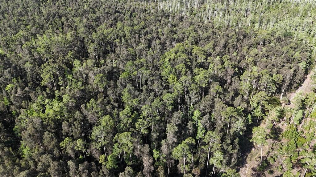 На продажу: $179,000 (5.00 acres)