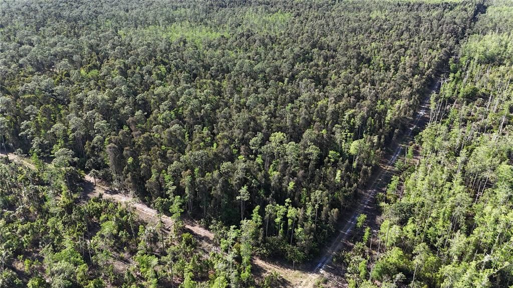 На продажу: $179,000 (5.00 acres)