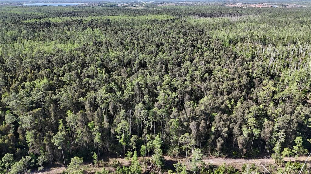 На продажу: $179,000 (5.00 acres)