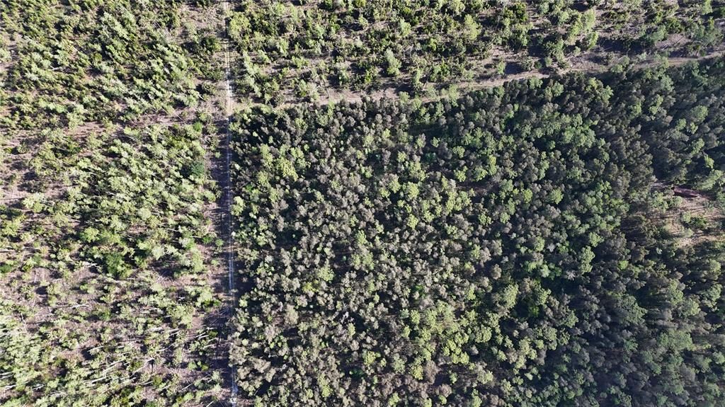 На продажу: $179,000 (5.00 acres)