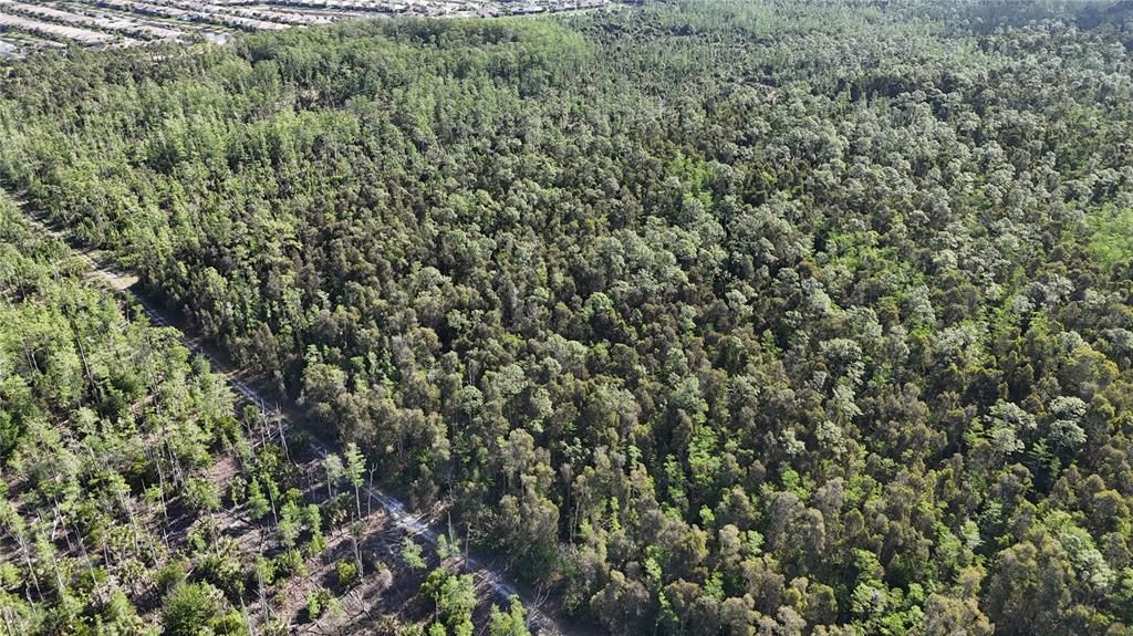 На продажу: $179,000 (5.00 acres)