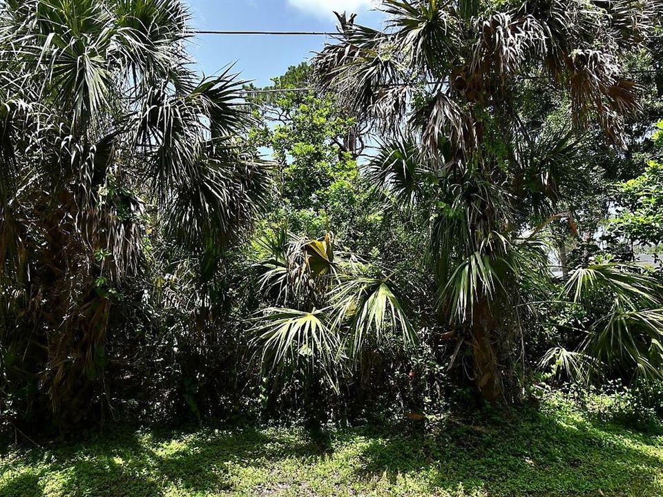 For Sale: $95,000 (0.14 acres)