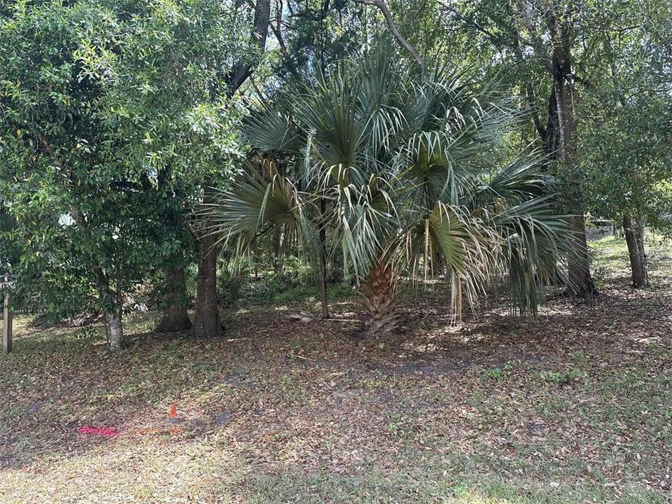 Active With Contract: $49,900 (0.23 acres)