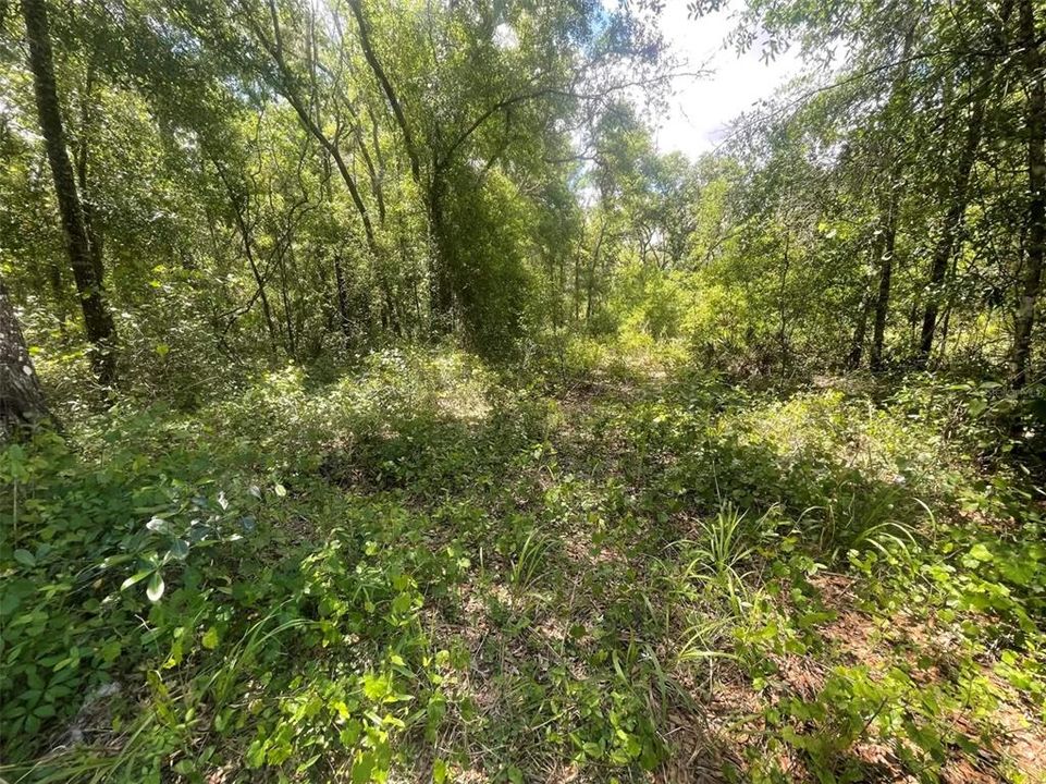 For Sale: $38,000 (0.70 acres)