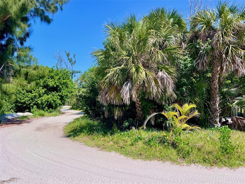 Active With Contract: $95,000 (0.11 acres)