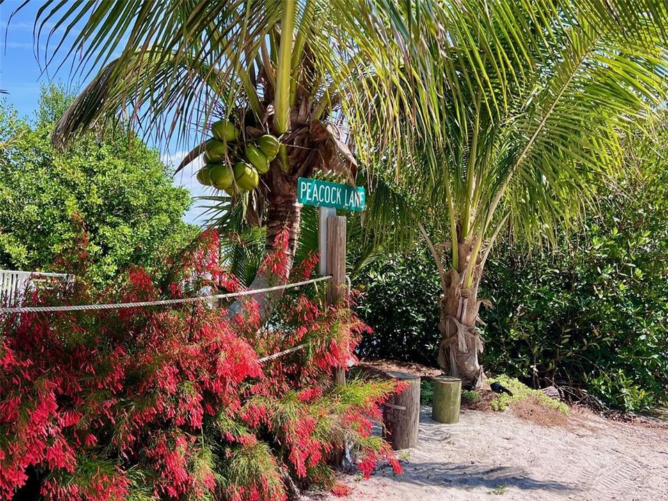 Active With Contract: $95,000 (0.11 acres)