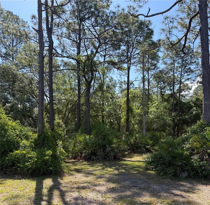 Activo con contrato: $110,000 (3.35 acres)