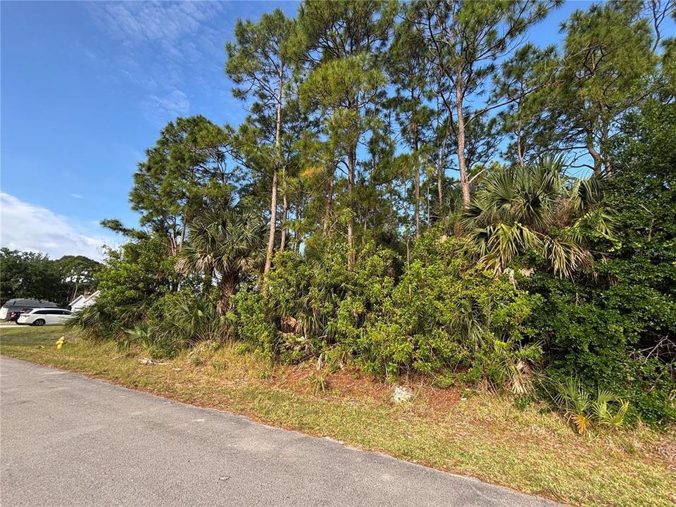 For Sale: $95,000 (0.23 acres)