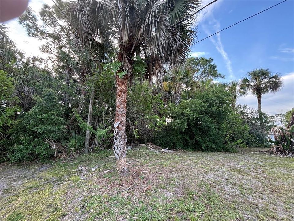 For Sale: $95,000 (0.23 acres)