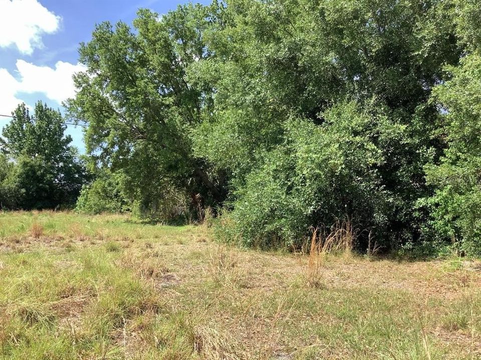 Под контрактом: $480,000 (4.31 acres)