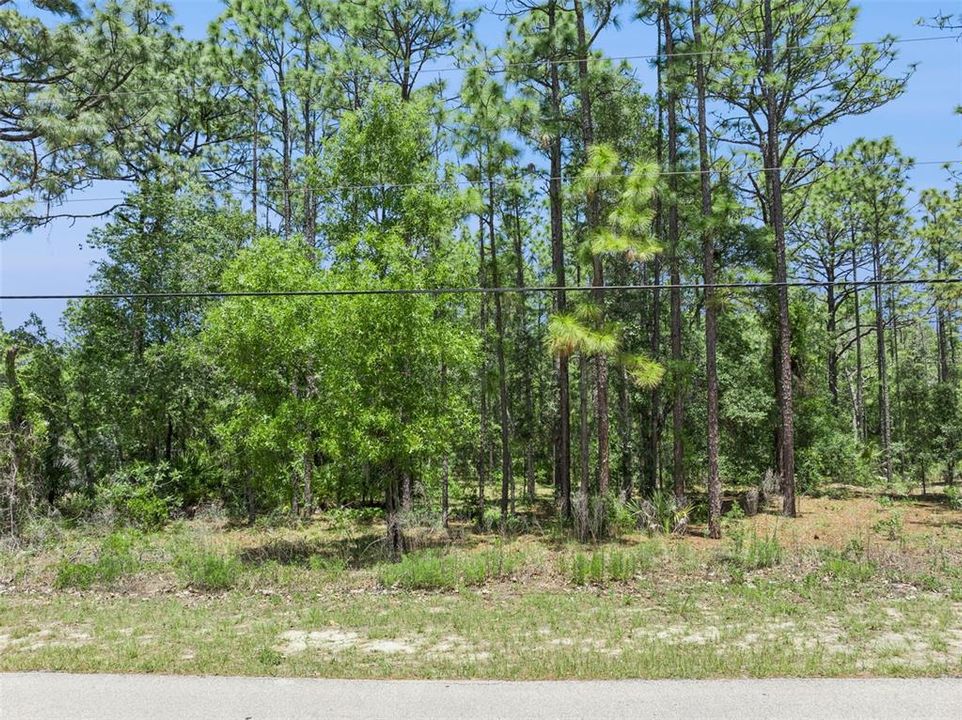 На продажу: $60,000 (1.00 acres)