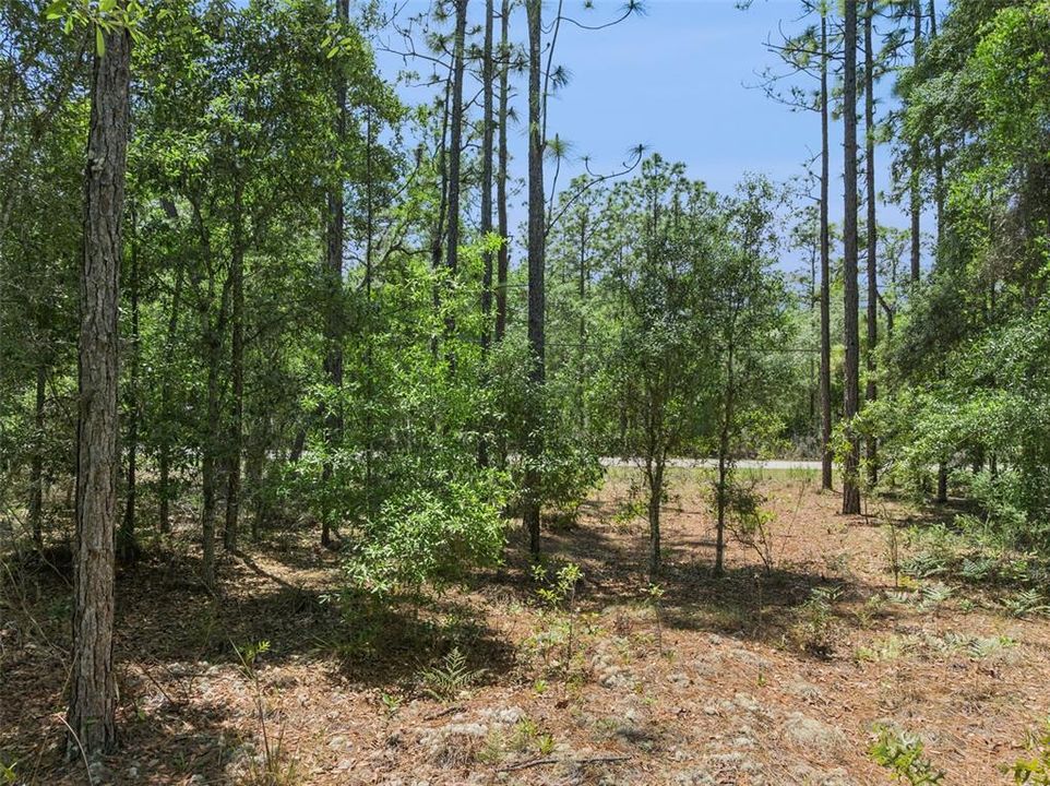 На продажу: $60,000 (1.00 acres)