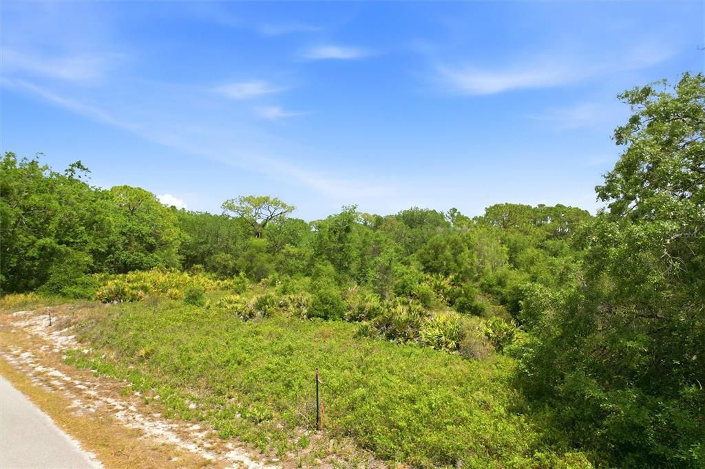 На продажу: $15,999 (0.23 acres)