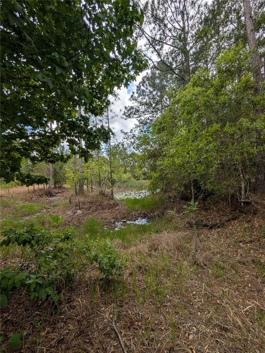 待售: $500,000 (4.75 acres)