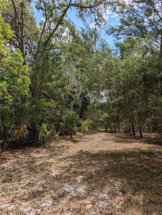 待售: $500,000 (4.75 acres)