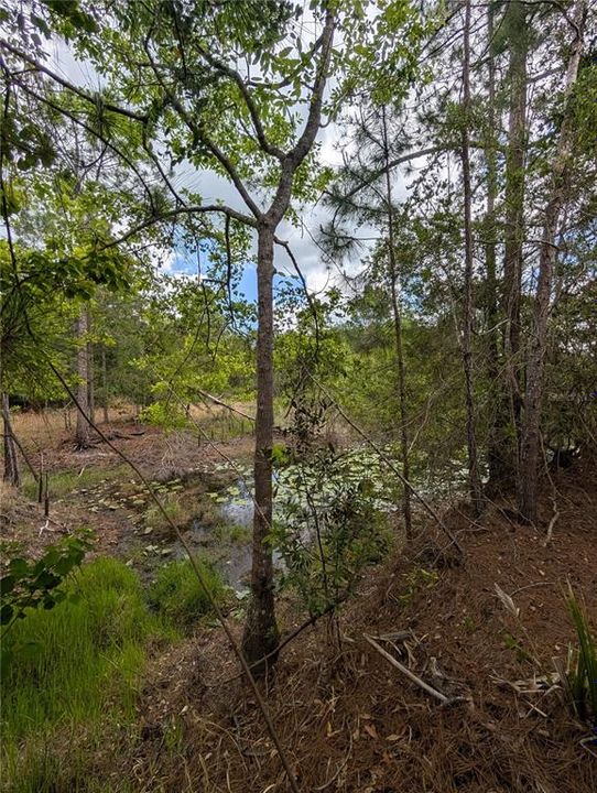 待售: $500,000 (4.75 acres)