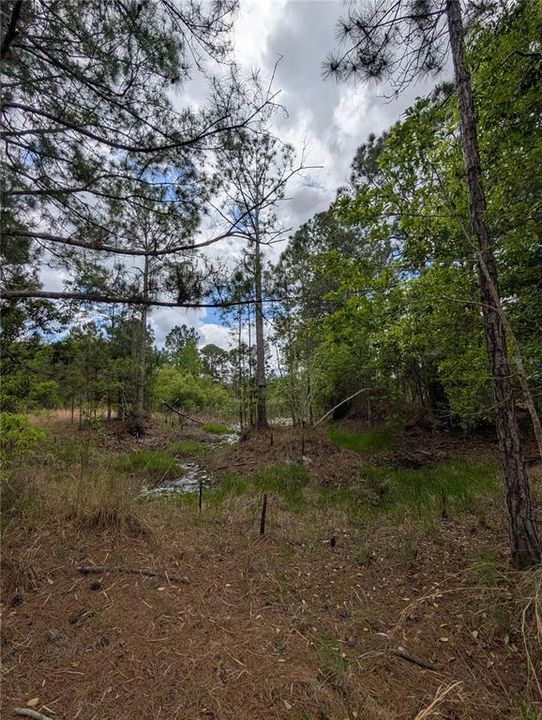 待售: $500,000 (4.75 acres)