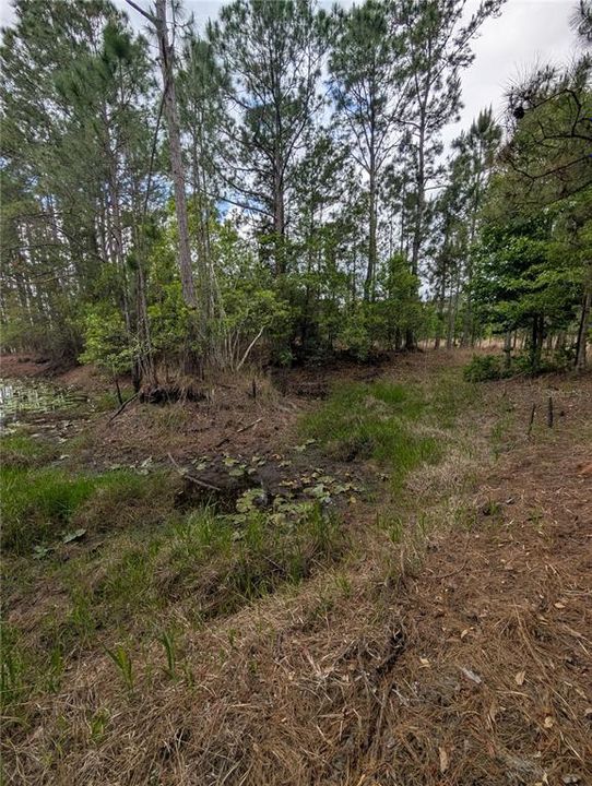 待售: $500,000 (4.75 acres)