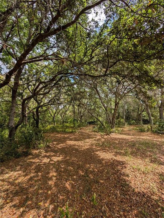 待售: $500,000 (4.75 acres)