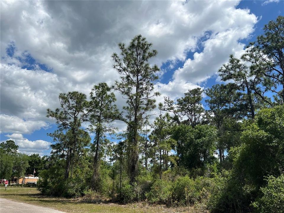 待售: $24,500 (0.55 acres)