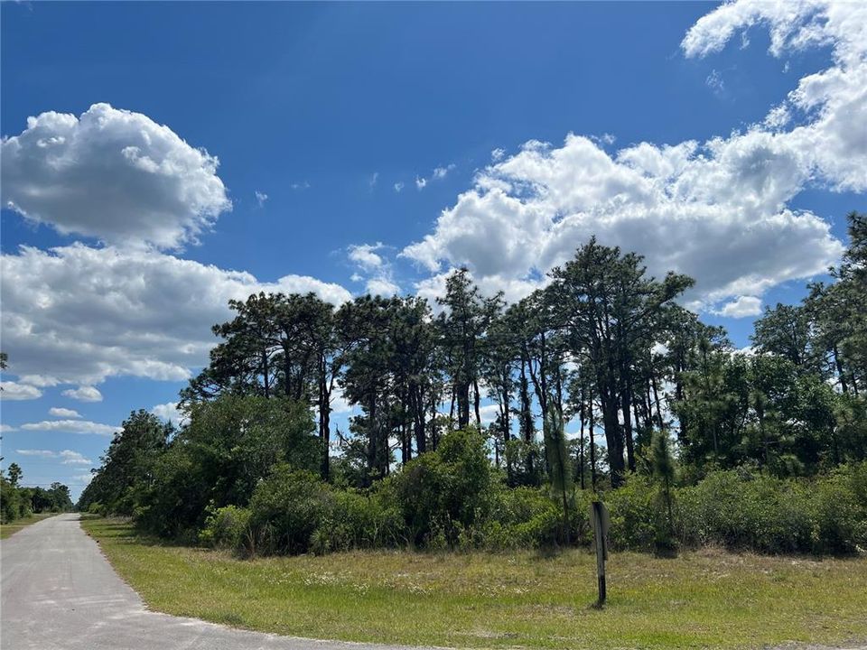 待售: $24,500 (0.55 acres)