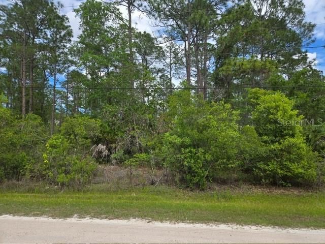 For Sale: $64,000 (1.14 acres)