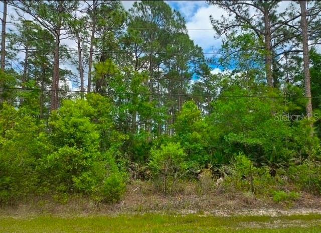 For Sale: $64,000 (1.14 acres)