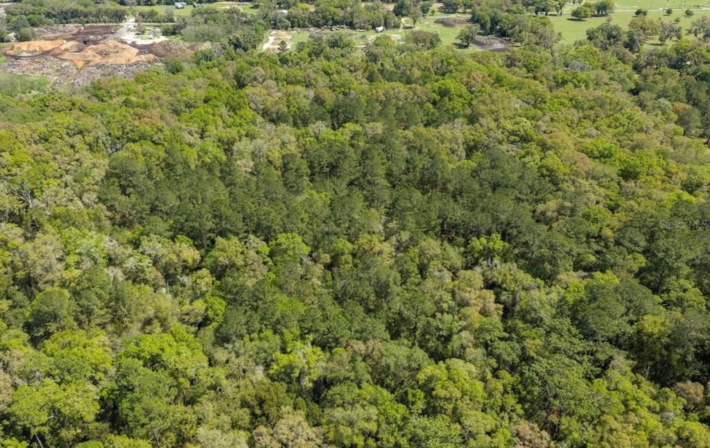 For Sale: $119,900 (8.00 acres)