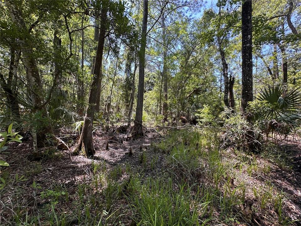 For Sale: $525,000 (111.62 acres)