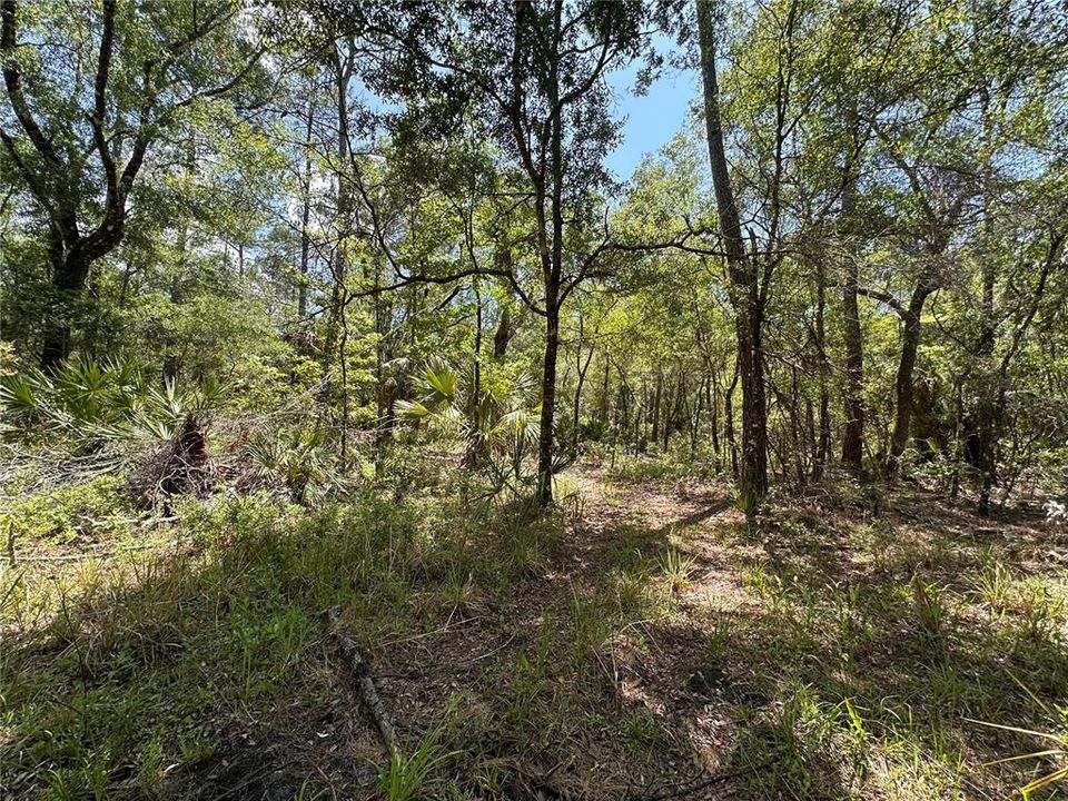 For Sale: $525,000 (111.62 acres)