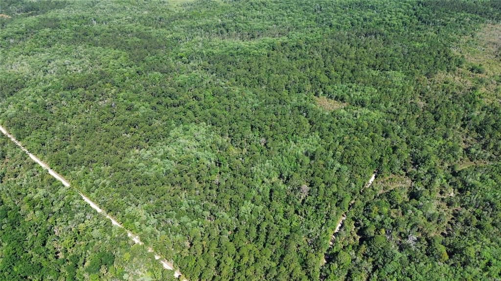 For Sale: $525,000 (111.62 acres)