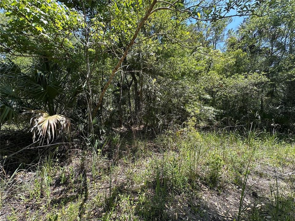 For Sale: $525,000 (111.62 acres)
