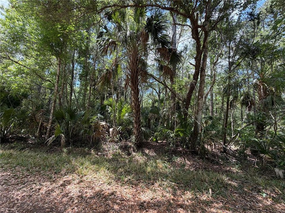 For Sale: $525,000 (111.62 acres)