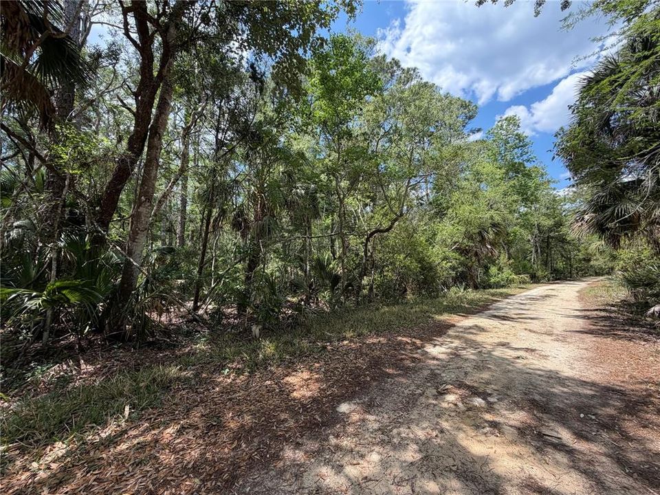 For Sale: $525,000 (111.62 acres)