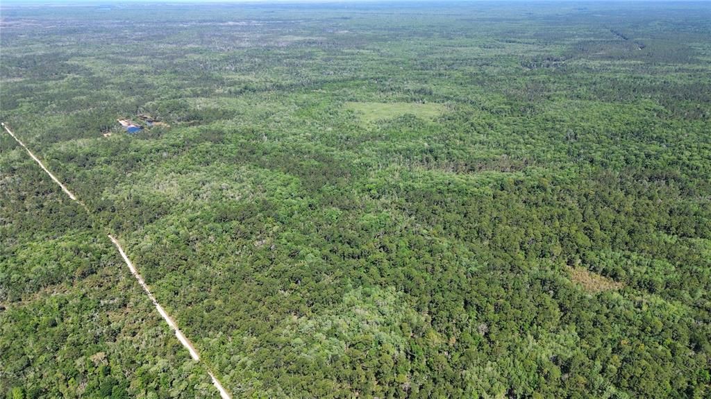 For Sale: $525,000 (111.62 acres)