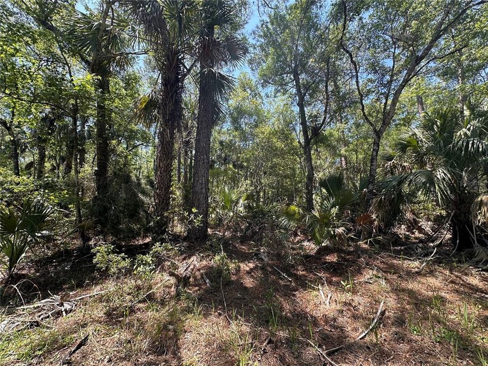 For Sale: $525,000 (111.62 acres)