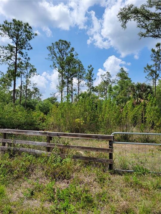 For Sale: $20,000 (0.28 acres)