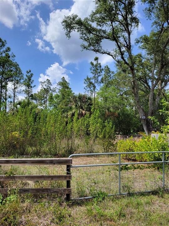 For Sale: $20,000 (0.28 acres)