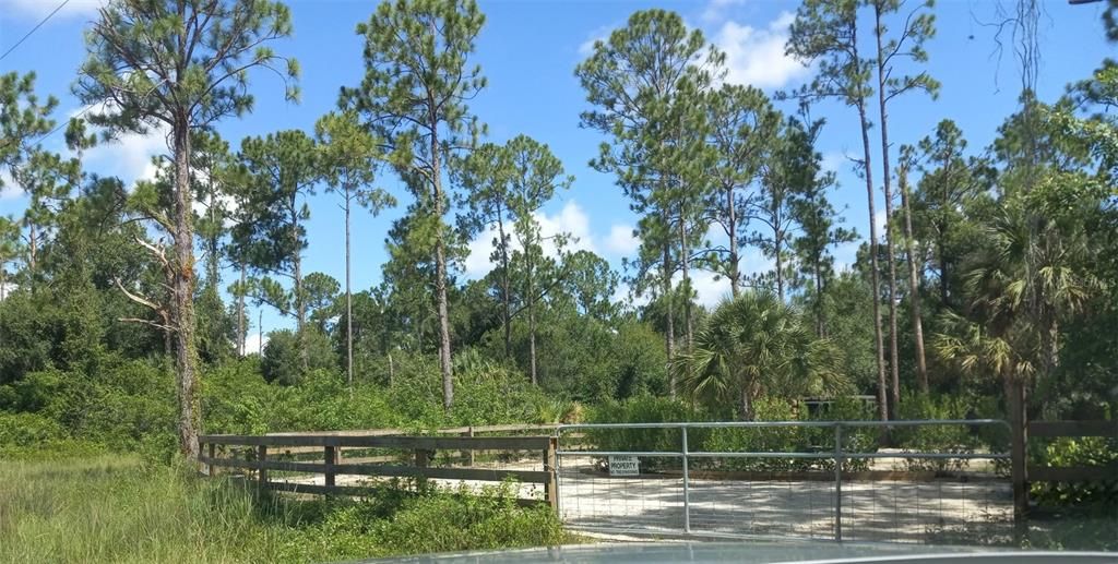 For Sale: $20,000 (0.28 acres)