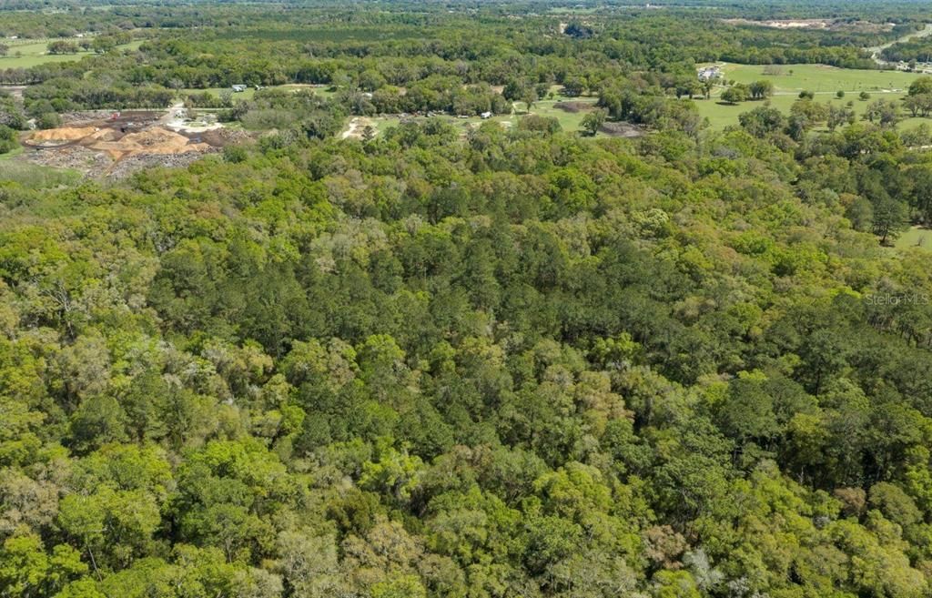 На продажу: $62,000 (4.00 acres)