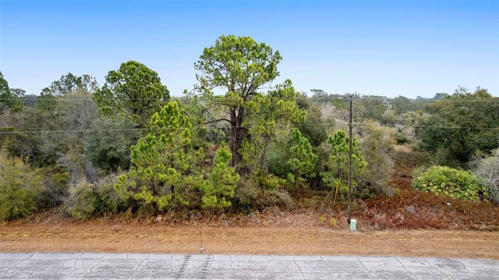 En Venta: $24,999 (0.24 acres)