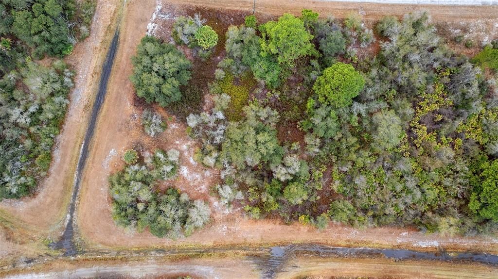 En Venta: $24,999 (0.24 acres)