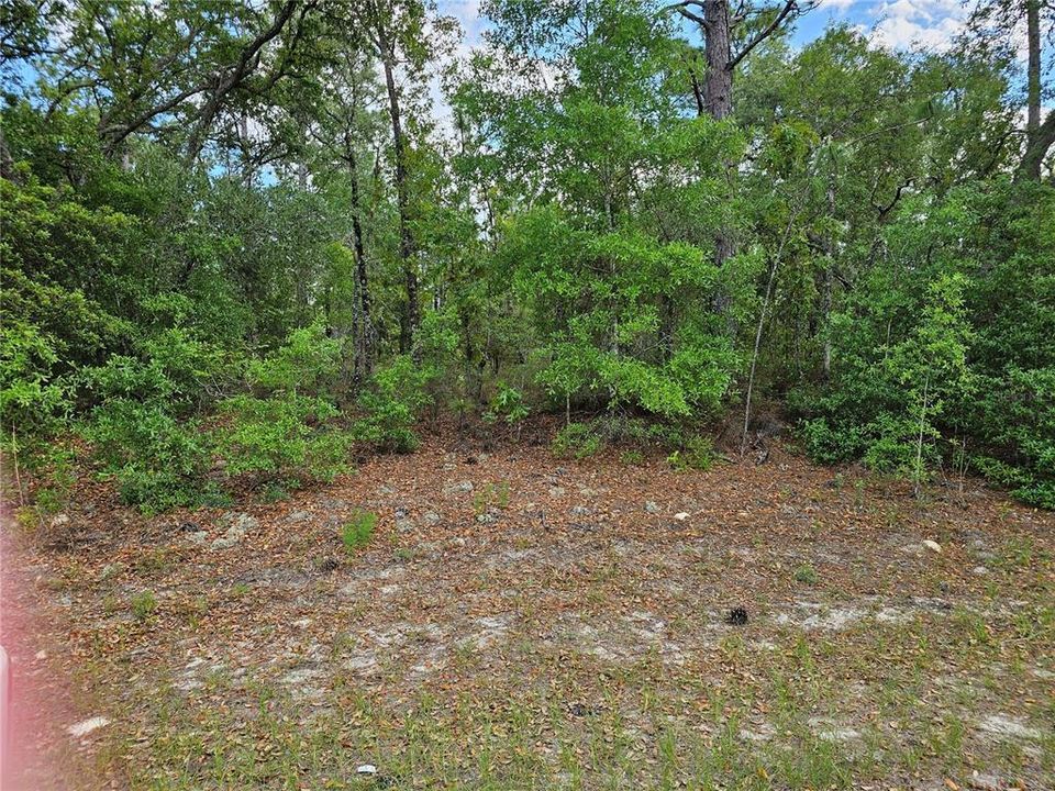 For Sale: $32,500 (0.23 acres)