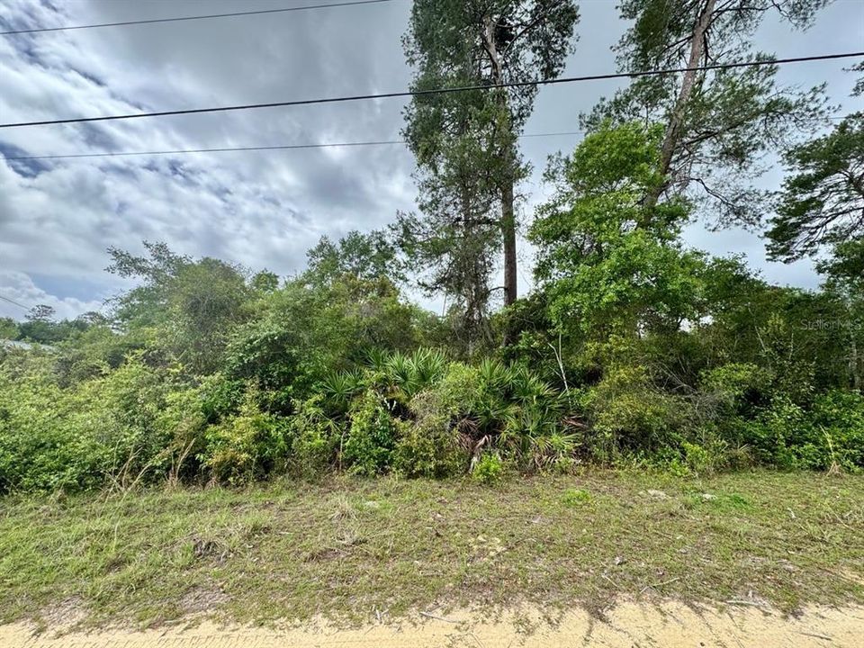 最近售出: $22,000 (0.35 acres)