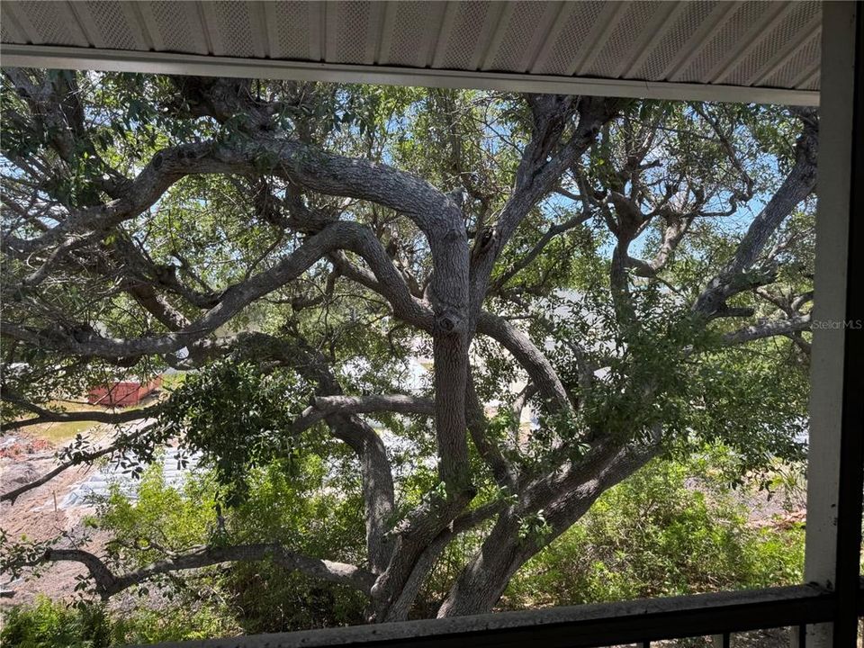For Sale: $129,000 (2 beds, 2 baths, 999 Square Feet)