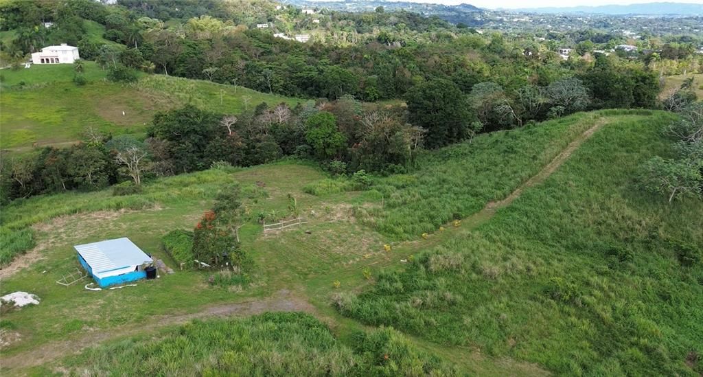 For Sale: $158,000 (12.44 acres)