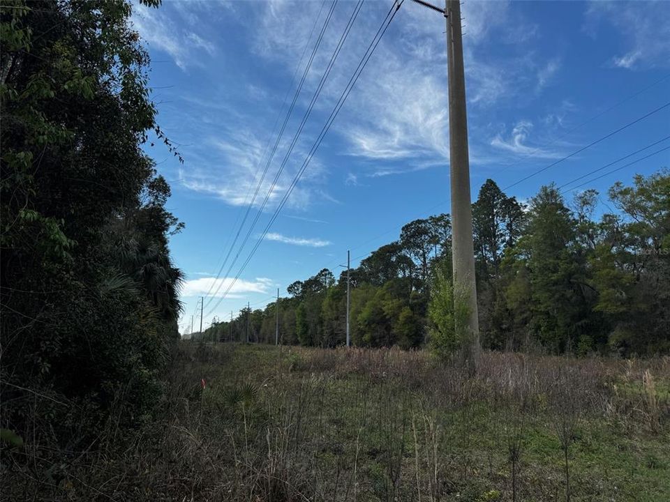 En Venta: $15,900 (1.00 acres)