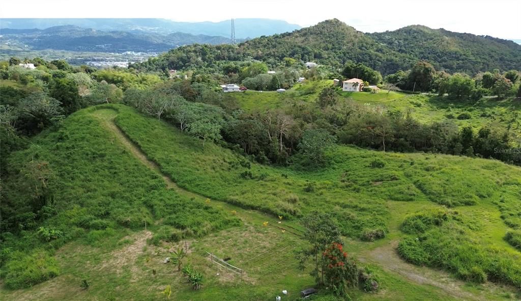 For Sale: $158,000 (12.44 acres)