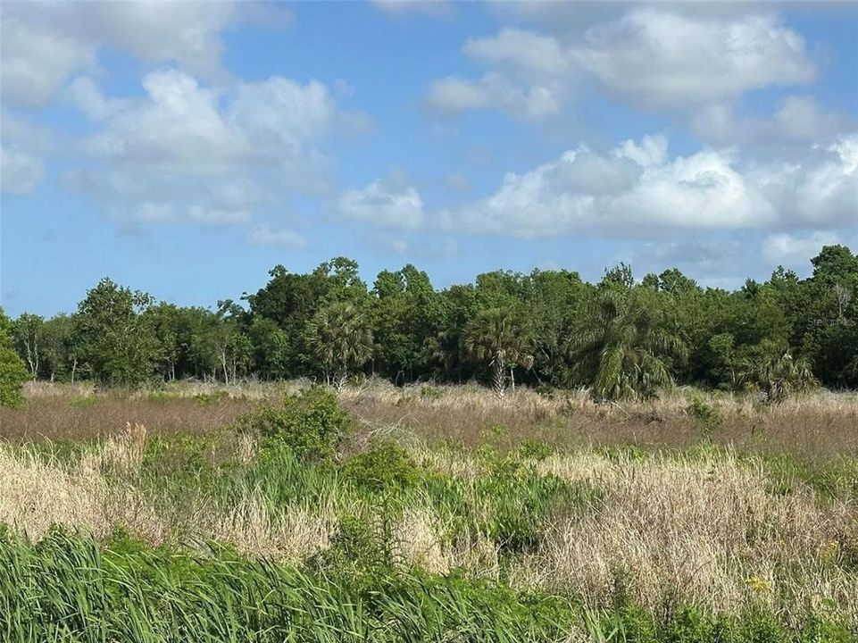 En Venta: $1,112,942 (18.58 acres)
